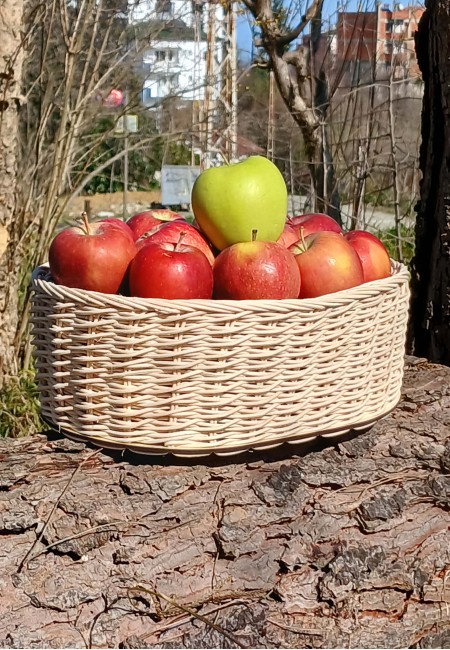 Oval Rattan Sepet 32*22*10 cm